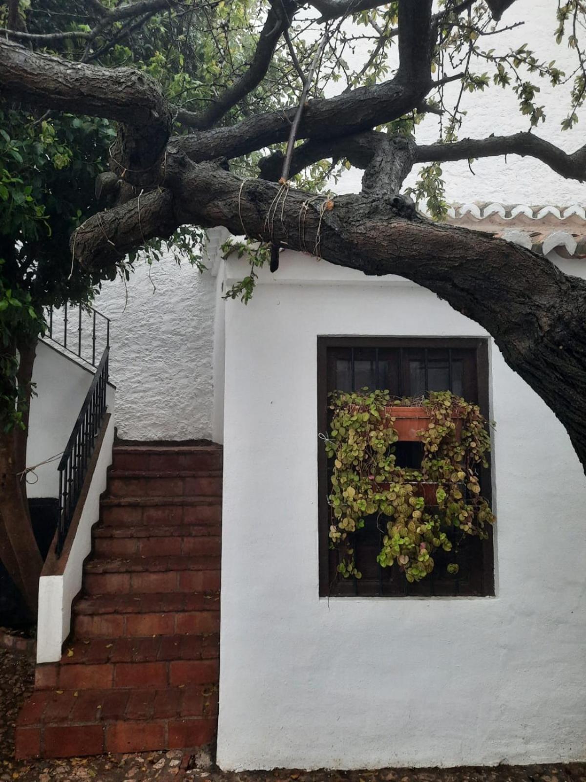 Hotel Rural Verde Oliva Comares Quarto foto