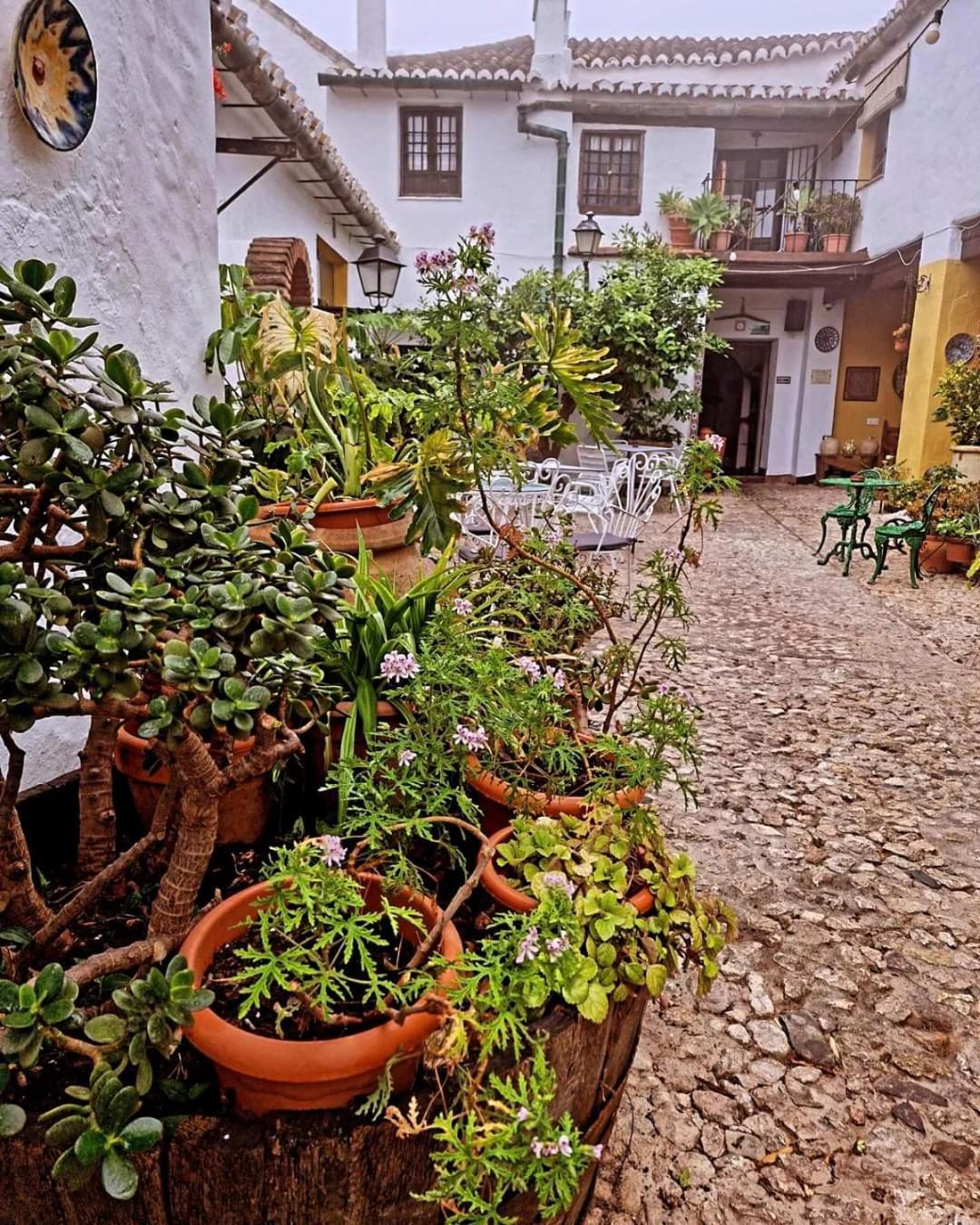 Hotel Rural Verde Oliva Comares Exterior foto